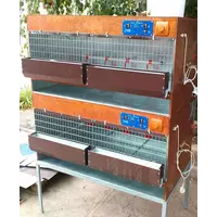 Профессиональный брудер для птицы -Автомат. Клетки для перепелов и кур